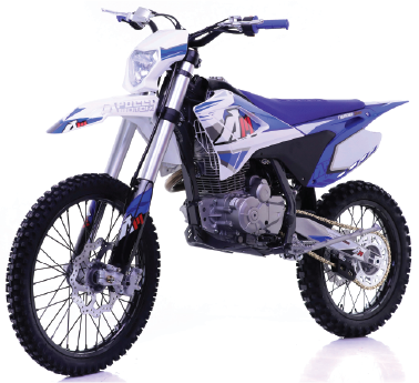 Apollo Thunder 300cc DLX